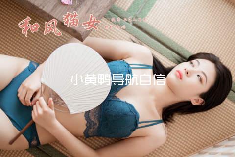 小黄鸭导航自信